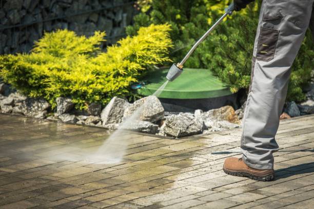 Best Driveway Pressure Washing  in Martindale, TX