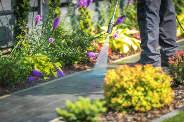 Best Gutter Cleaning  in Martindale, TX